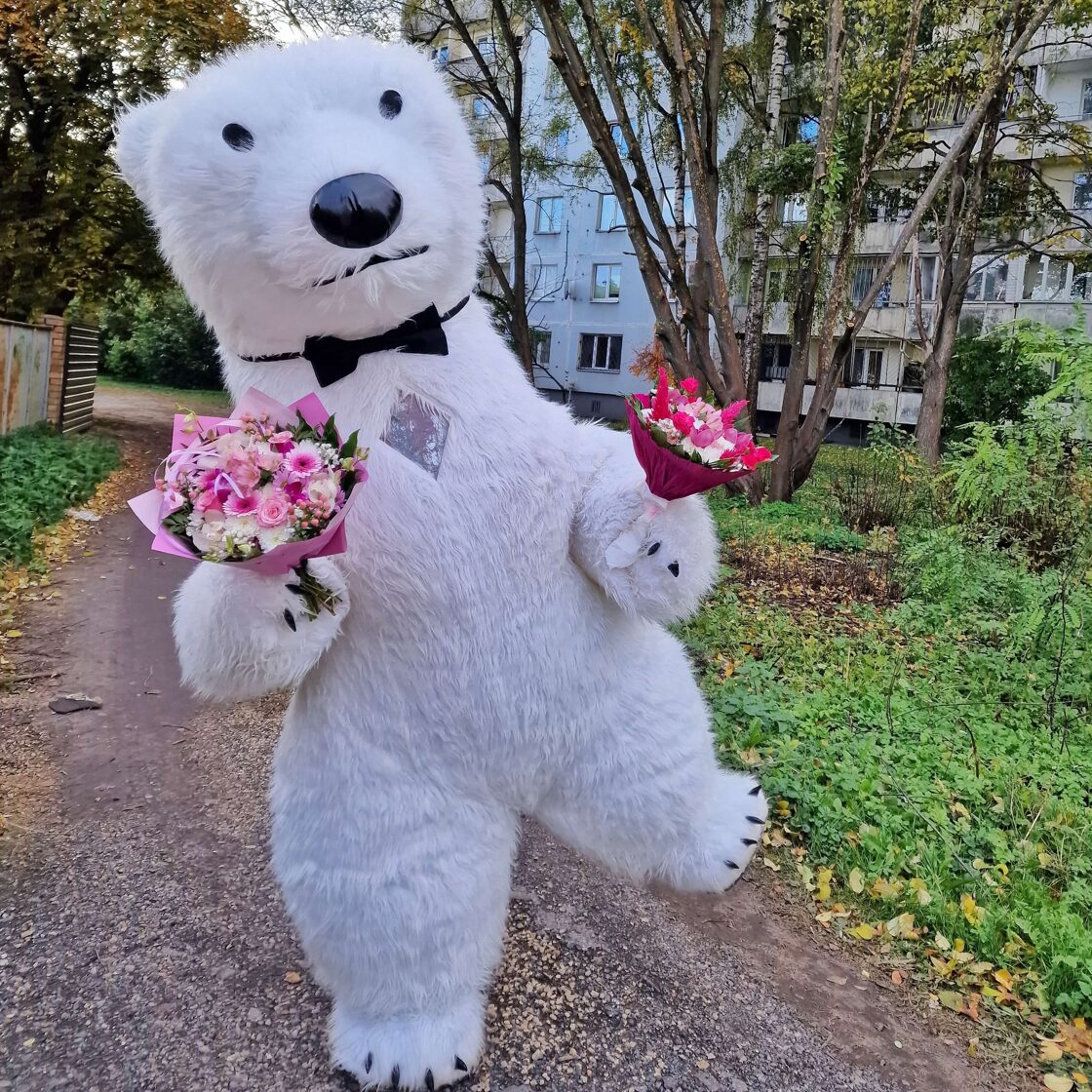 baltais lācis animators ballītē