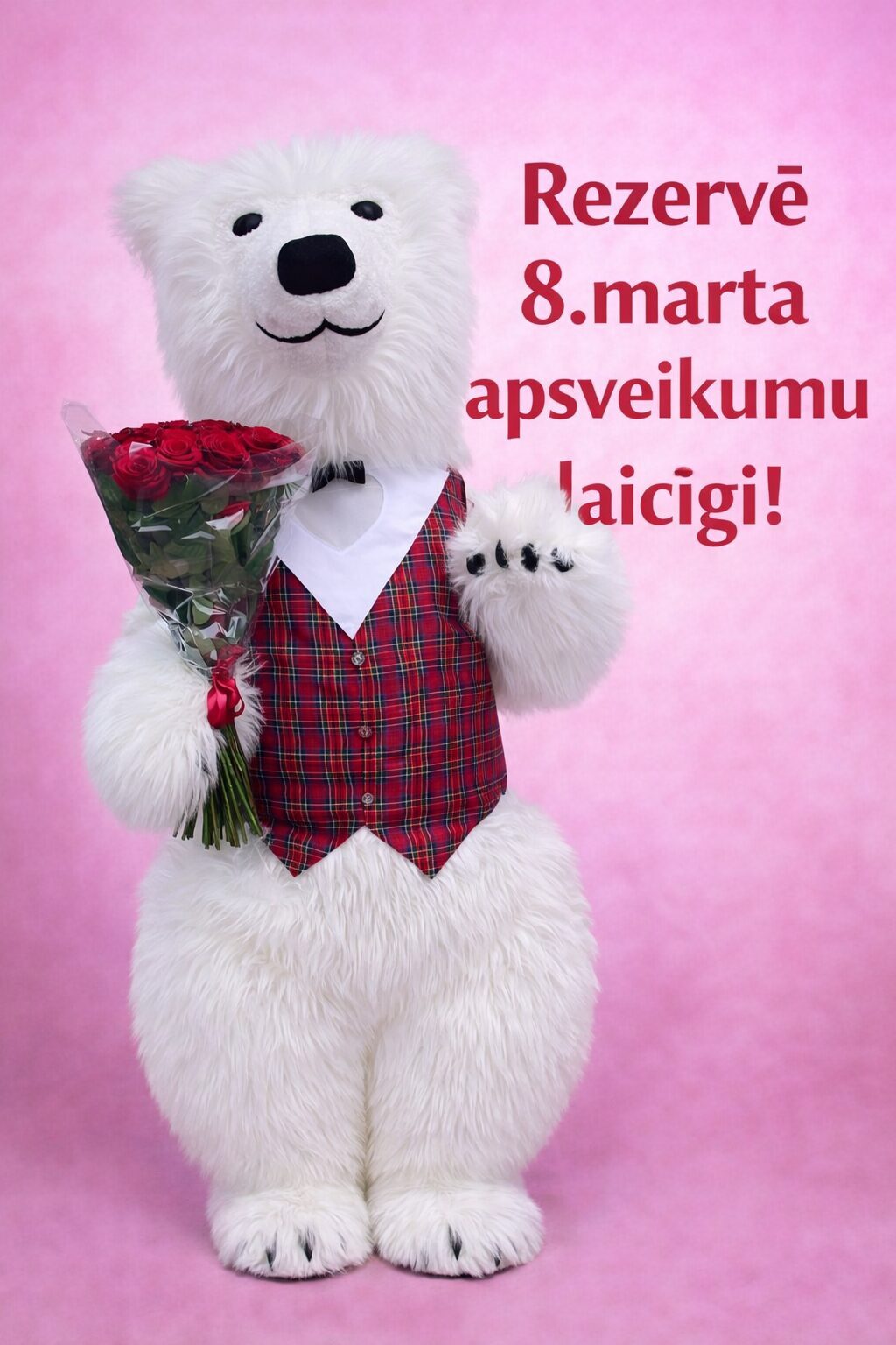 Premium Baltais lācis