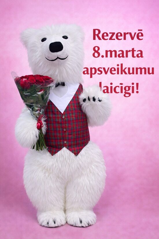 Premium Baltais lācis